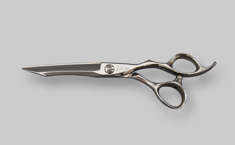 Dragon Claw｜ドラゴンクロー